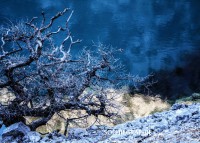 /album/le-bleu-du-monde/divers38-jpg/