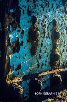 /album/le-bleu-du-monde/divers5-jpg/