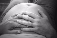 /album/pascale-leo/gros-copyright-jpg/